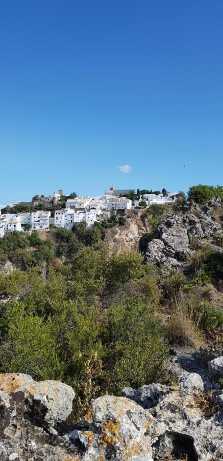 Puerto Естепона Екстериор снимка